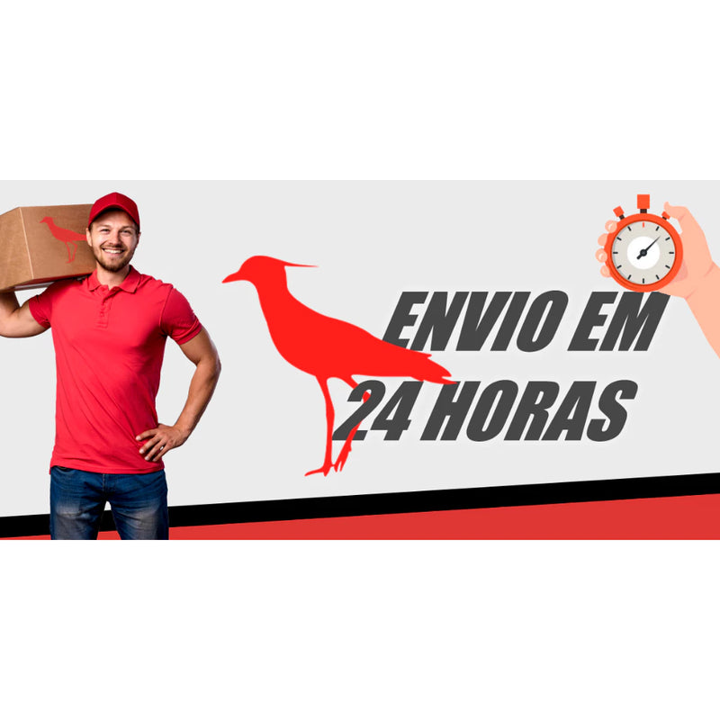 Kit 10 Camiseta Básicas Masculina Lisa Algodão 100% Confortável - Loja BRAVONI.